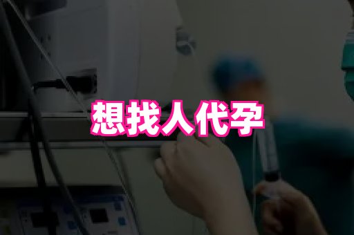 123试管孕网 3